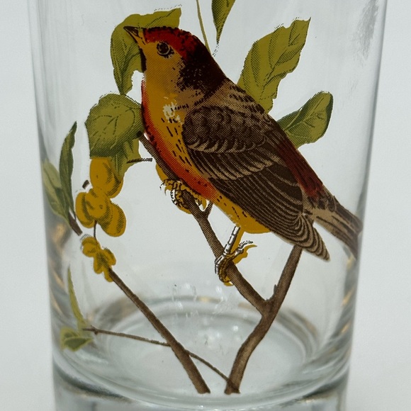 Set of 4 Vintage West Virginia Glass AMERICAN SONGBIRDS Flat Tumblers Glasses - Picture 12 of 16